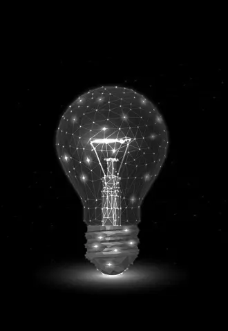 Wireframe light bulb