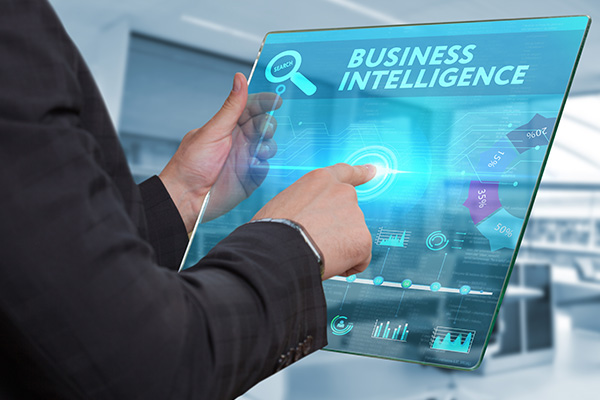 Visualisation Services & Business Intelligence